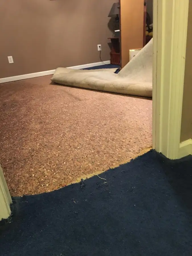 Carpet pad removal revealing water damage during Drying & Dehumidification in East Rutherford