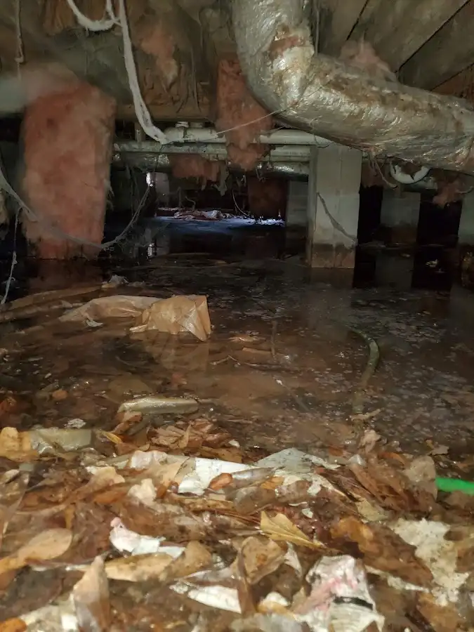 Crawl space flood assessment for Leak Detection & Repair in East Rutherford