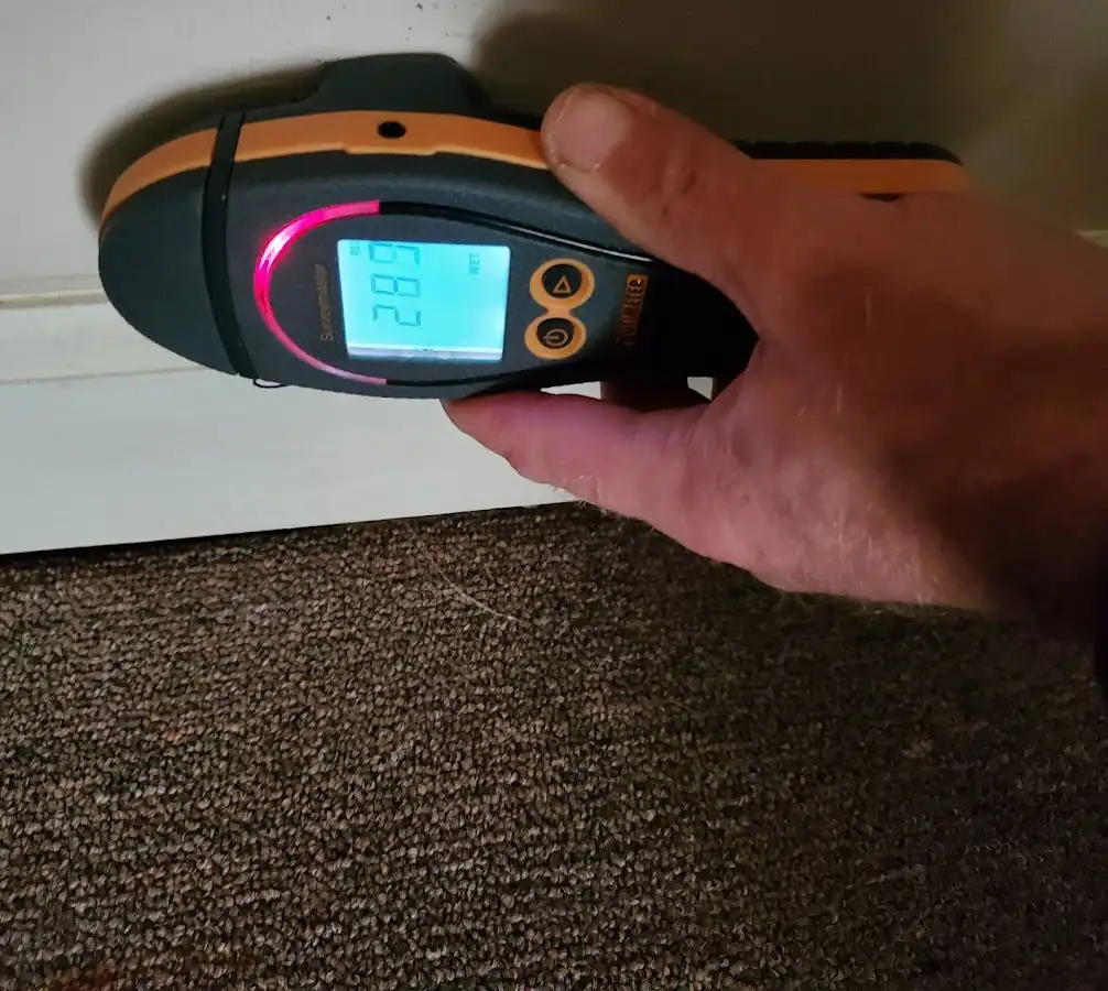 Moisture detection at baseboard during Sewage Cleanup & Sanitation in East Rutherford